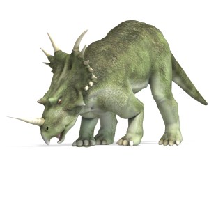 Styracosaurus